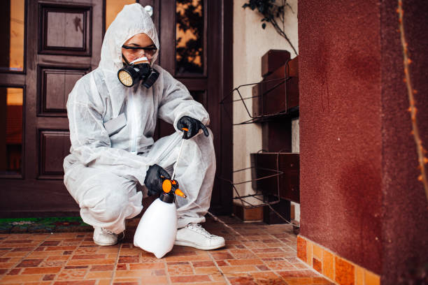 Reliable Bed Bug Control contractor in Shively, KY by Nex Pest Control